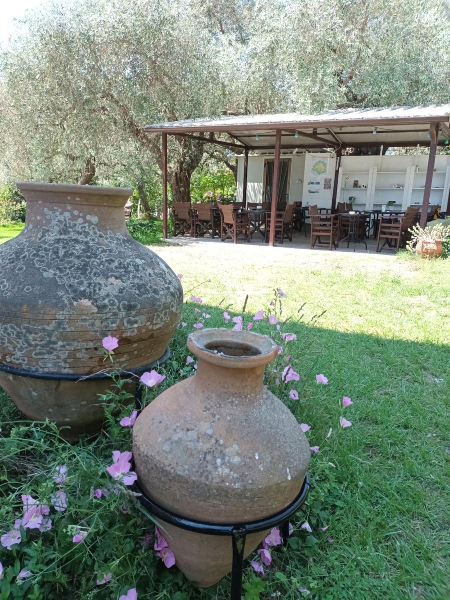 Hotel George Chrysi Ammoudia Quarto foto