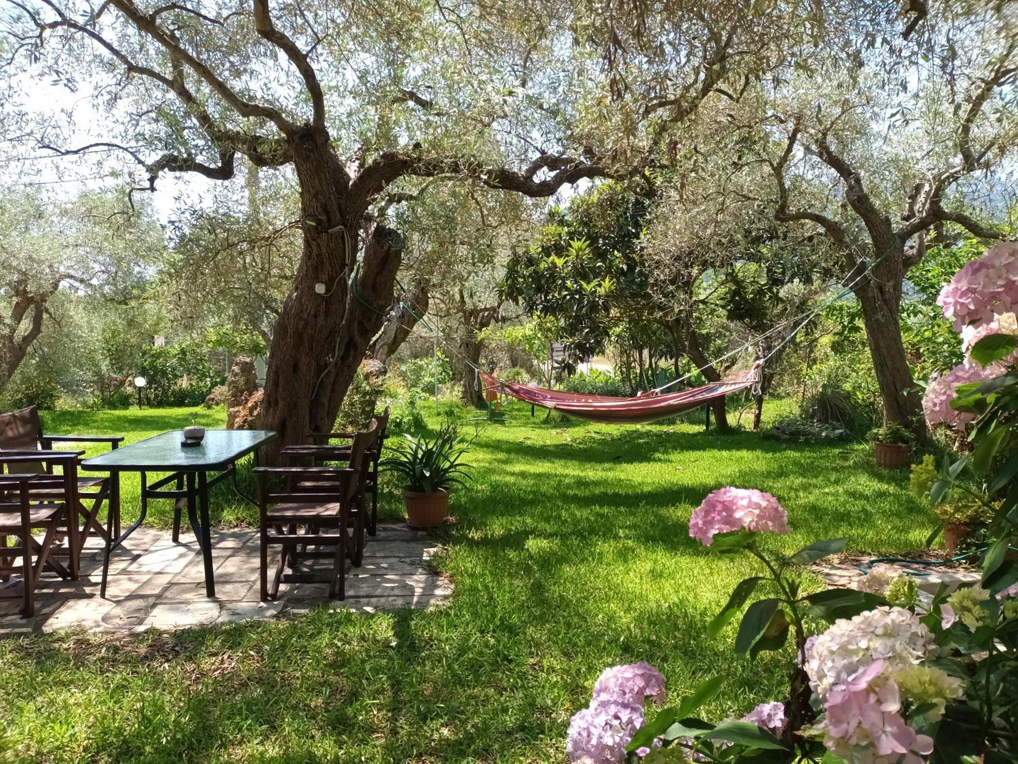 Hotel George Chrysi Ammoudia Quarto foto